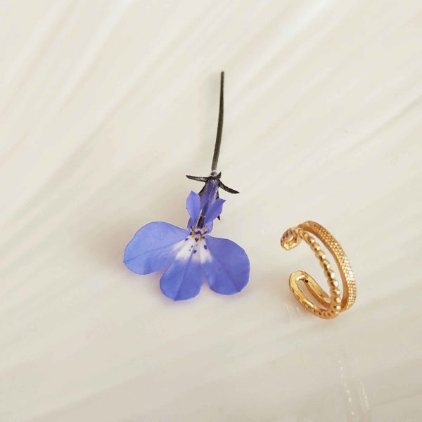 photo bague oreille
