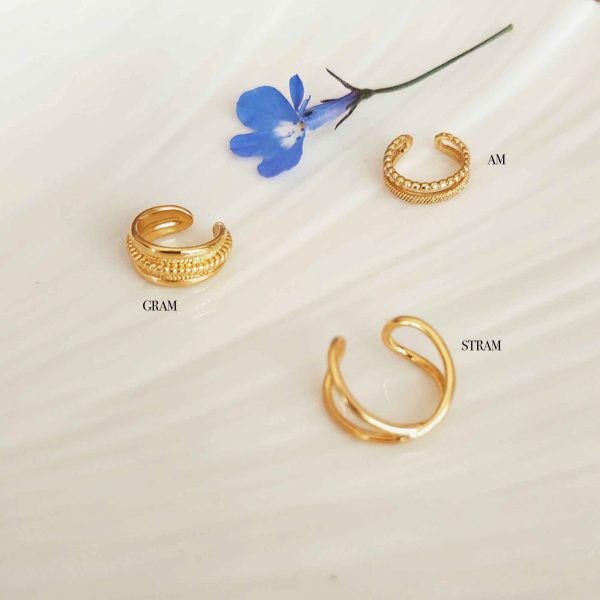 photo bague oreille
