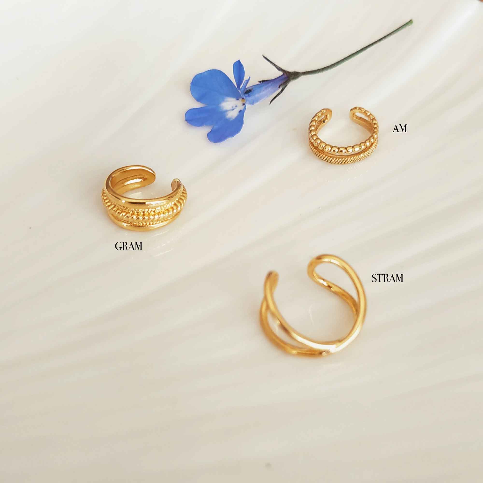 photo bague oreille