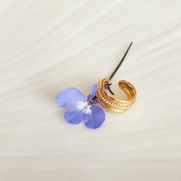 photo bague oreille