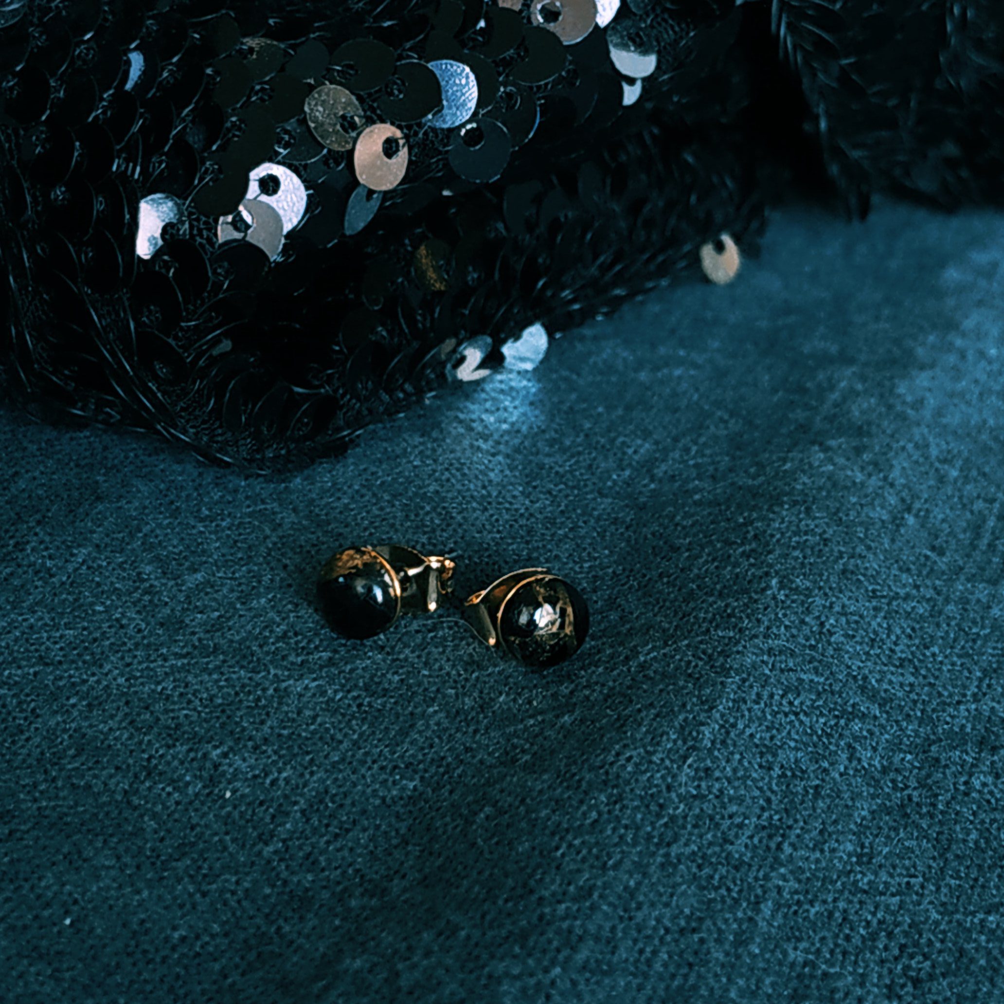 image puces oreilles lou obsidienne noire
